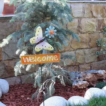 Aurora 게스트하우스 *