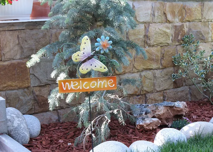 Aurora ゲストハウス *